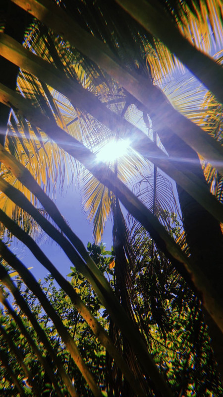 angelcandices~1555957684~2027843537168849438_43114731