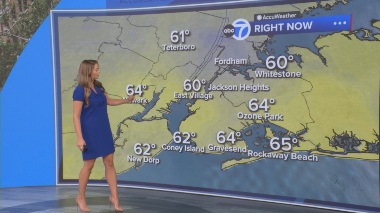 Eyewitness News Mornings at 10_20250519_15001600.ts_snapshot_00.28.57.527
