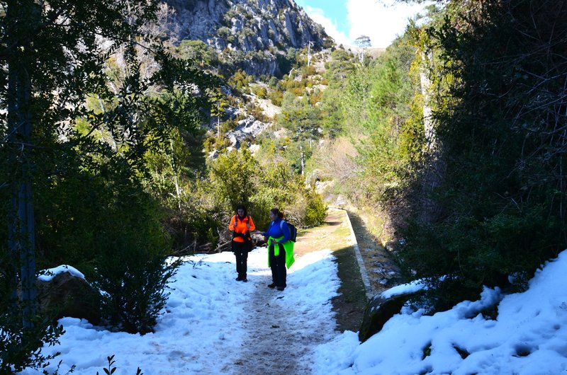 RUTA RIO BOROSA-12-3-2016-JAEN - Paseando por España-1991/2016 (143)