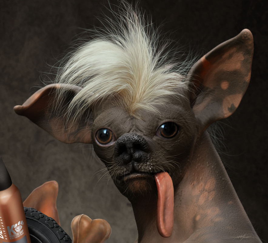 FINAL_COVJEK PAS SA KRIJESTOMcrop