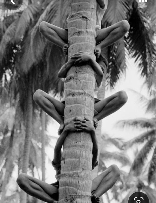 Screenshot_20231201_230441_Pinterest