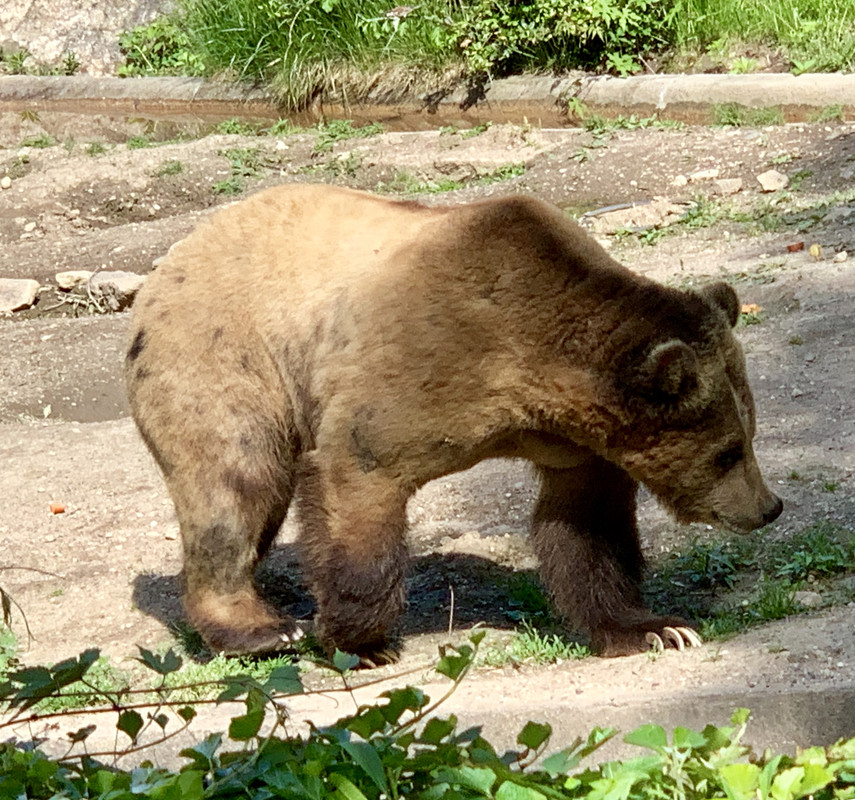 377546A1-6309-4CF3-979B-96271B9B0791