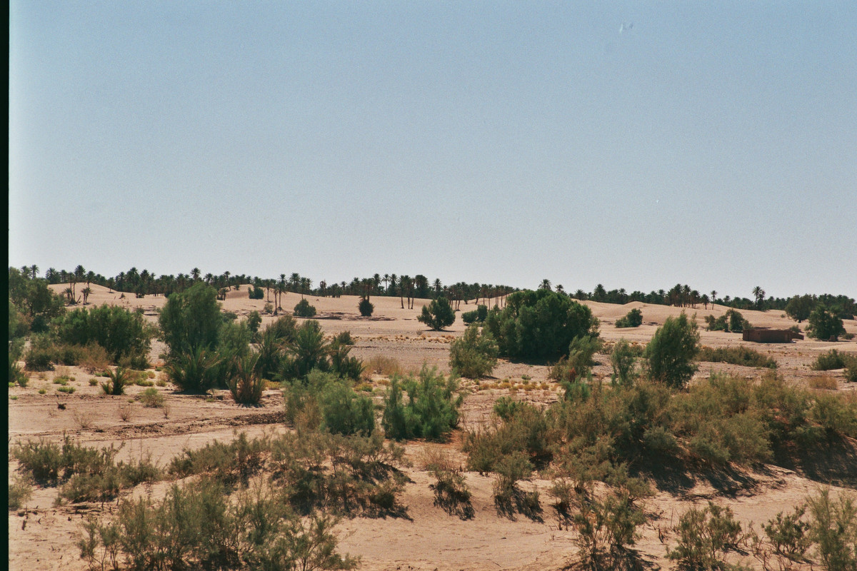 El Valle del Drâa, Region-Marruecos (7)