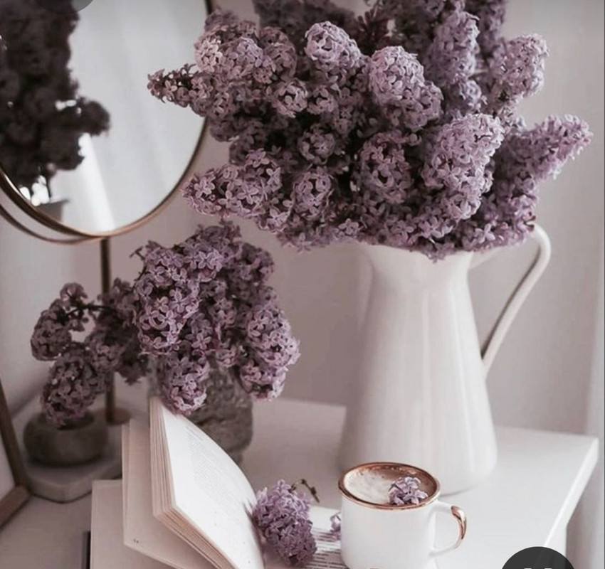 Screenshot_20230228_000555_Pinterest