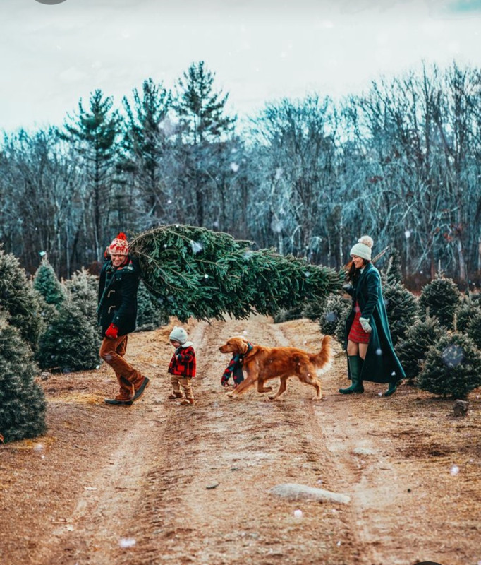 Screenshot_20230517_225924_Pinterest