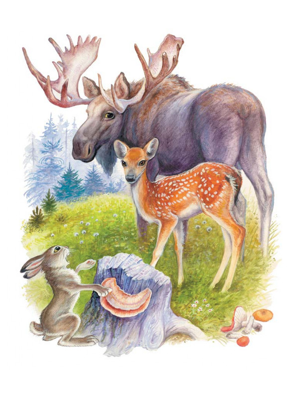 Shim-Eduard-Skazki-o-zhivotnyh-2020-page-0026