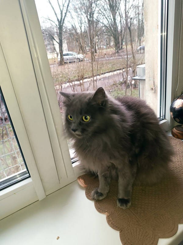 IMG-dd9f46555fda5180db8917b1f52607e8-V