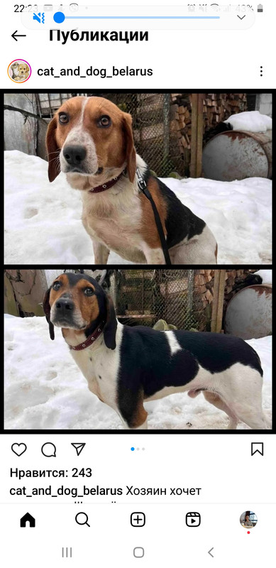 Screenshot_20240207-222324_Instagram (1)