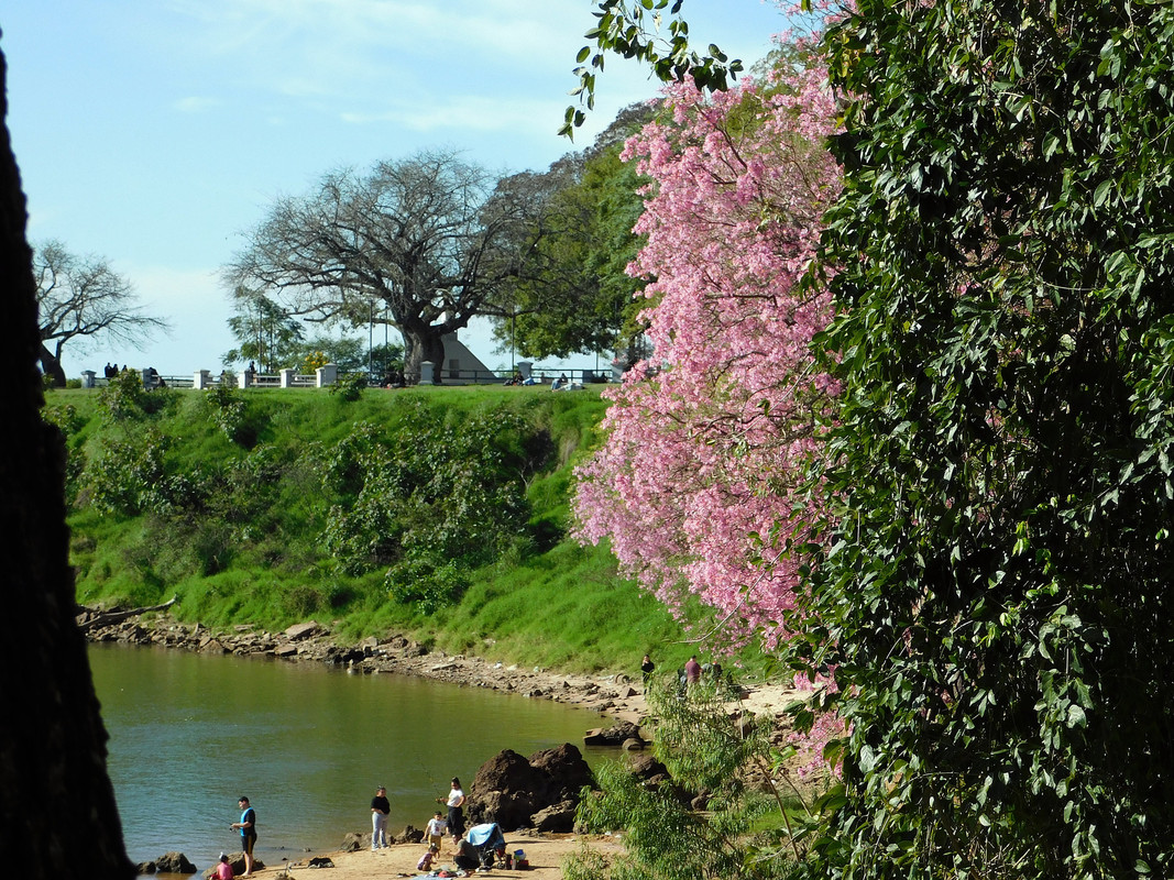 DSCN0401.jpg