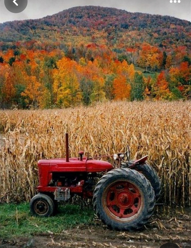 Screenshot_20231115_213827_Pinterest