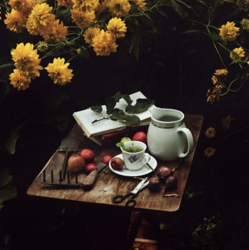 Screenshot_20240610_225143_Pinterest