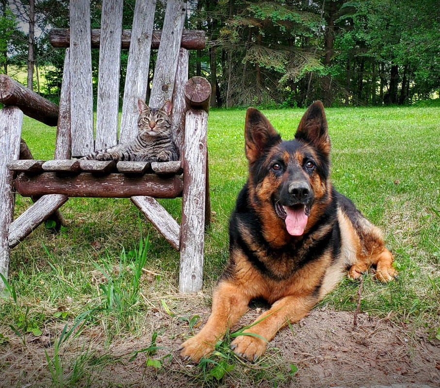 Resized_20210607_190649