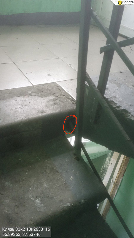 IMG 20260405 020037