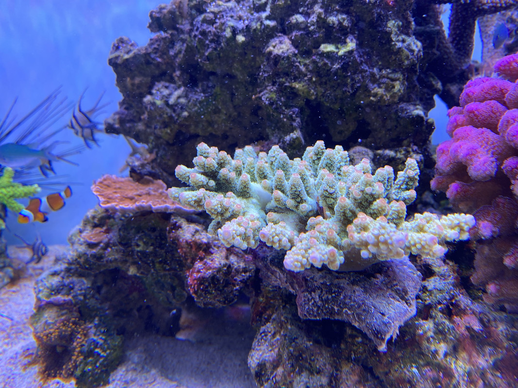 F5AE9F80-475E-4375-97EB-D6F2C8D28D8F