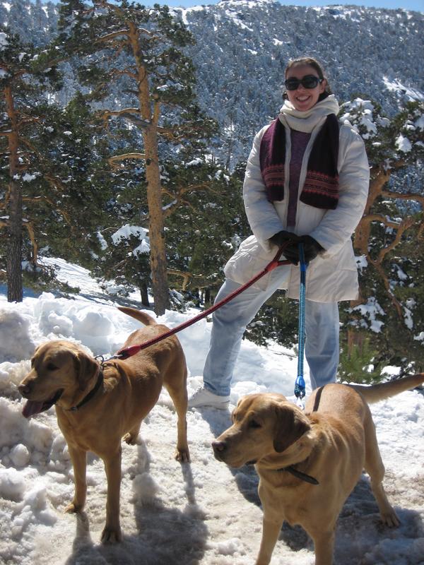 Paseando por España-1991/2016 - Blogs de España - PUERTO DE NAVACERRADA Y COTOS-2006/2009/2013/2016-MADRID (10)