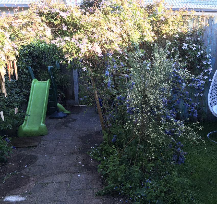 71E042F0-588B-40B5-B45B-E0BB54779A5A