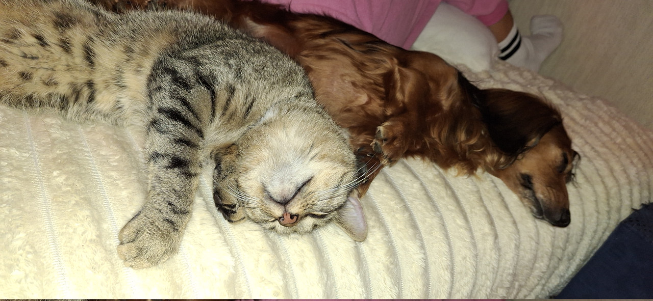 [Image: 20251004-221427.jpg]