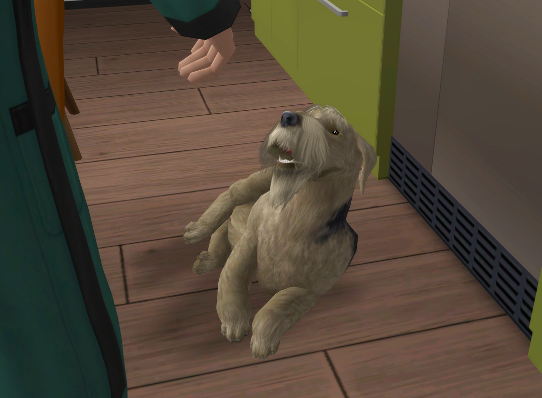 ksnip-20250621-115103