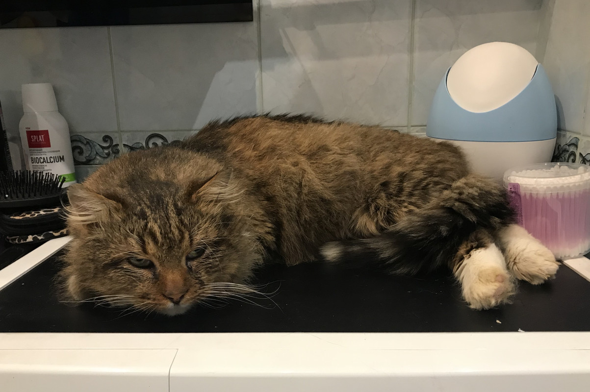 7D638135-7A94-420B-B1CB-E9644CCE55E7