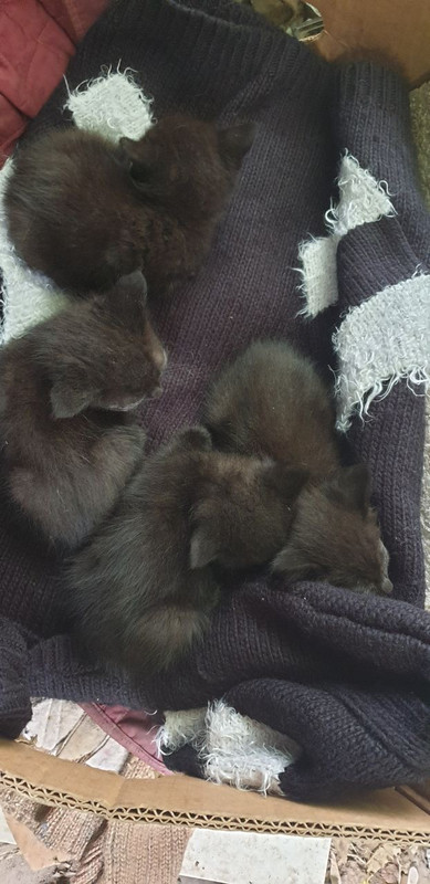 2693B5E5-B7F0-4CEA-8EAB-04A0C98DEEF9