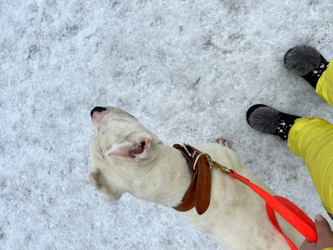 471E4C0E-E329-4ADE-AB91-C94495DA7CB1