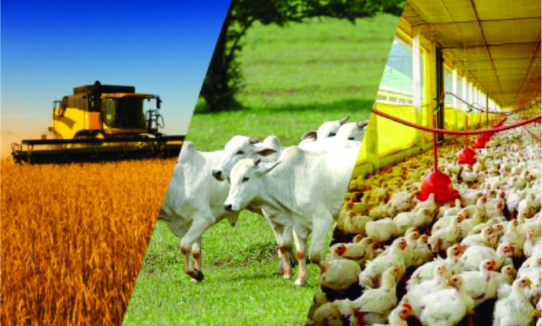 Agronegócio e Indústria Agroalimentar