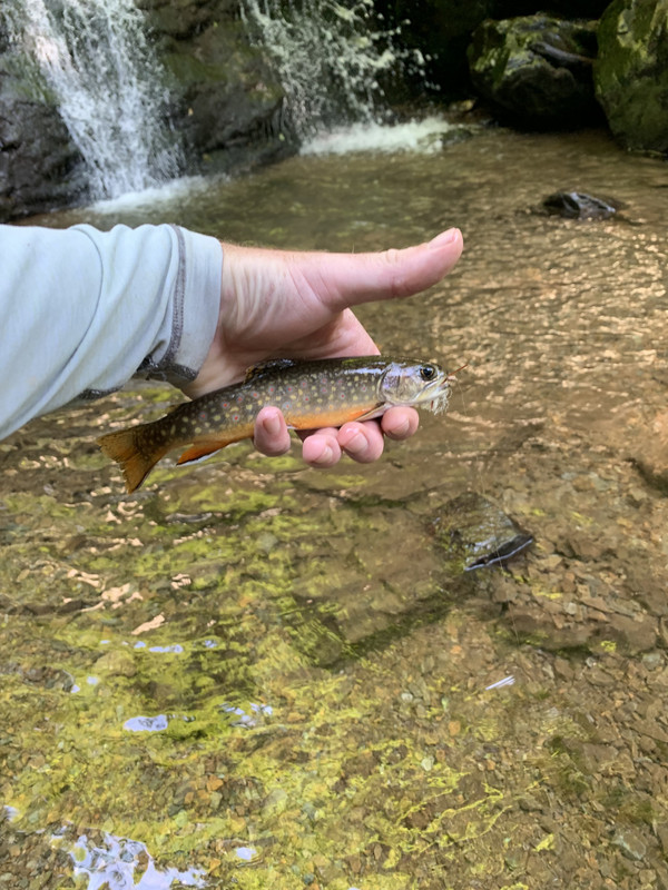 85AADF6C-BC56-418C-B3E4-9094D0B84003