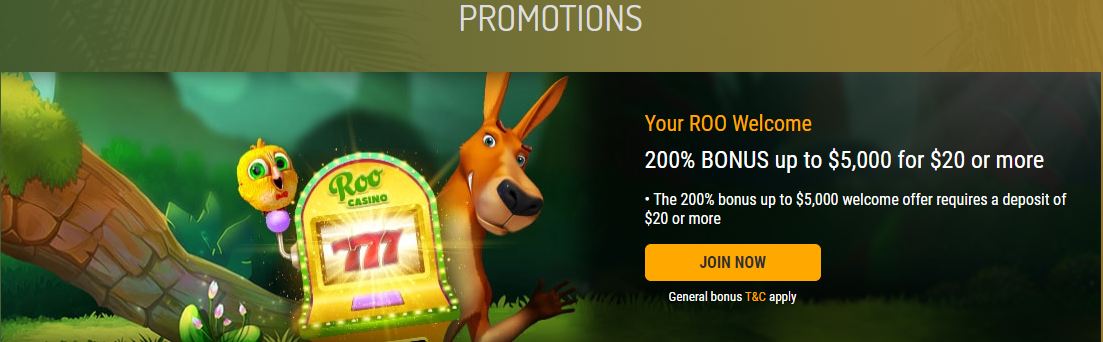 Roo Casino Bonuses And Promotions