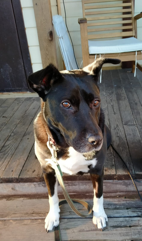 43853328-8B53-4C51-B271-66A8EAC2ABEC