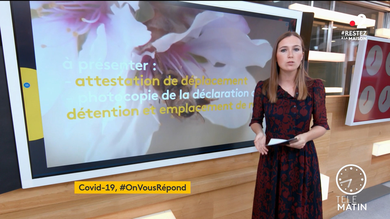 2020-04-09_06_00_Fr2_Le-6h-info.mp4_snapshot_47.24_[2020.04.19_22.53.16]
