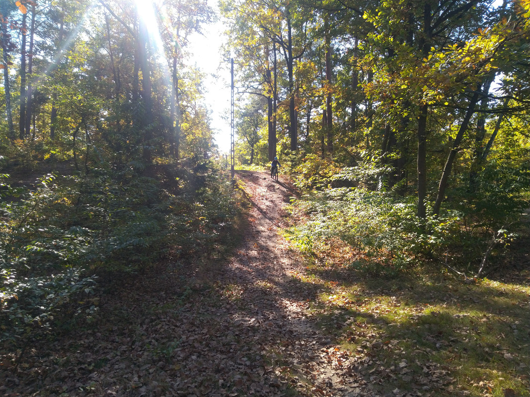 IMG-20211009-124354-1.jpg