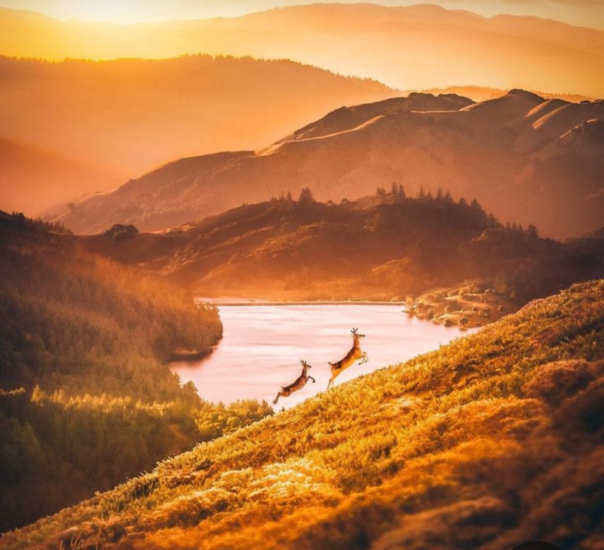 Screenshot_20231128_181627_Pinterest