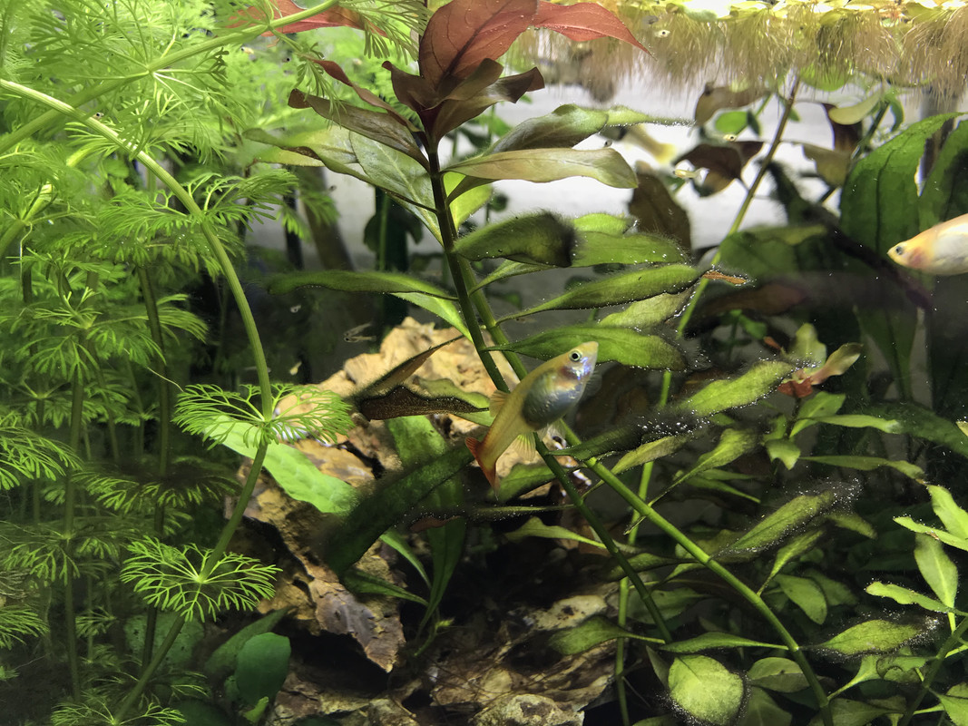 260E09AC-0A49-4A38-AEB3-61139265E49C