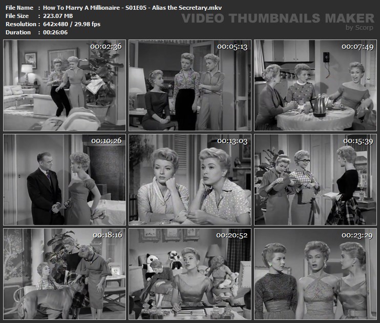 How To Marry A Millionaire - S01E05 - Alias the Secretary.mkv