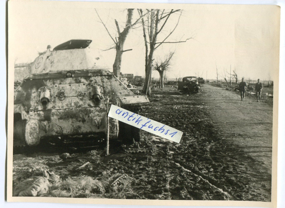 weißer T-34 Panzer mit Wappen bei Staraja Russa