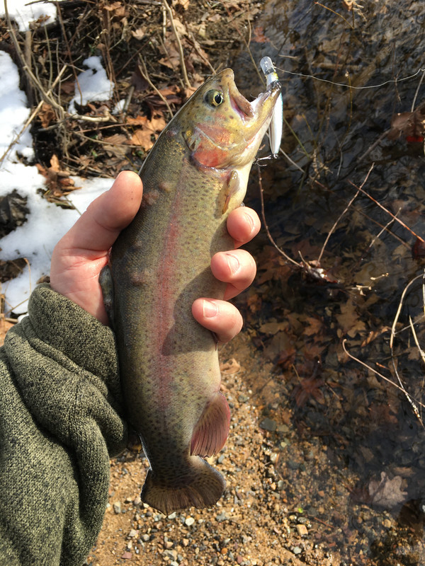 9D5C0D54-383D-4162-91FE-0DC3FE406B4E