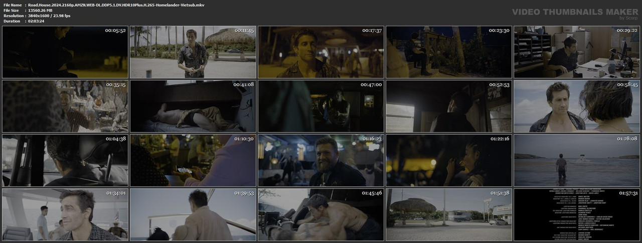 Road.House.2024.2160p.AMZN.WEB-DL.DDP5.1.DV.HDR10Plus.H.265-Homelander-Vietsub.mkv