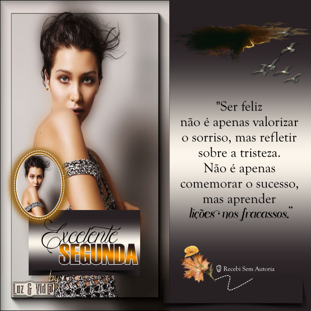 NOVO556-MB-maryluz.png