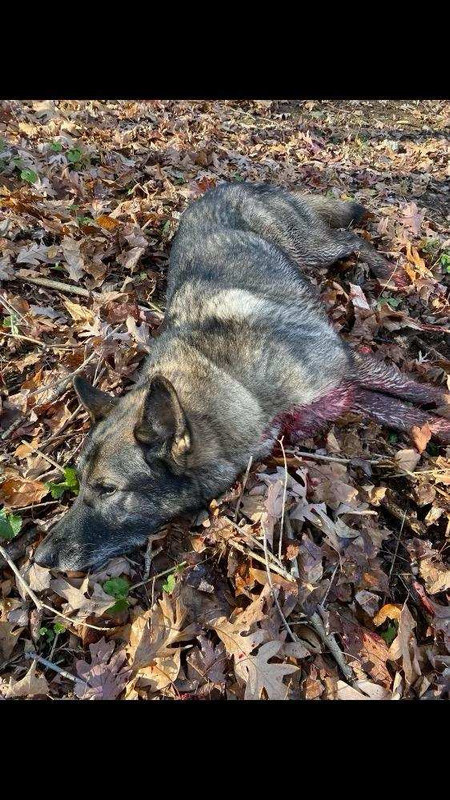 7256EAAB-56C8-4181-8FEB-F6996FF099D2