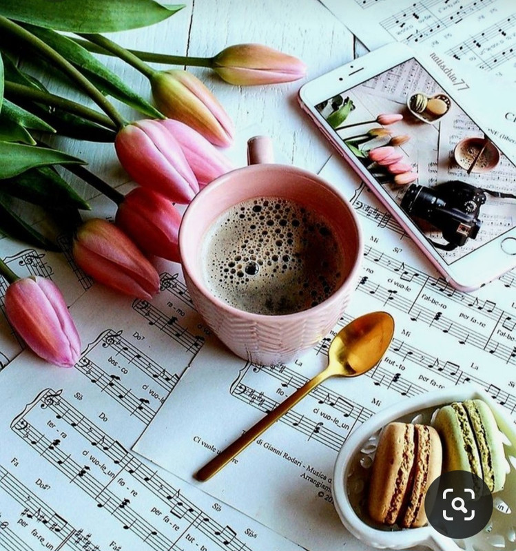 Screenshot_20230717_230403_Pinterest