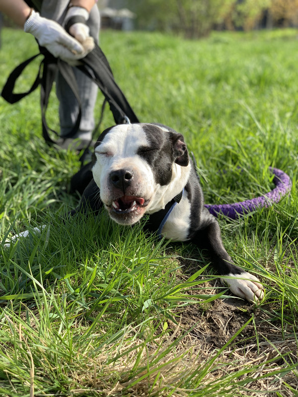 A3217680-531F-490B-86D4-23EB15EEAF4E