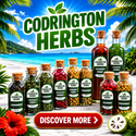 Codrington Herbs