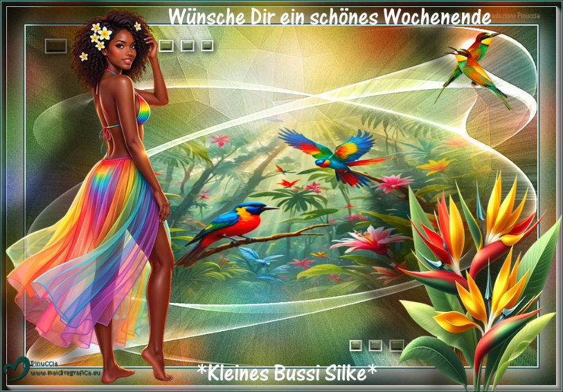An den Beitrag angehängtes Bild: https://i.postimg.cc/63znTCBs/tropical-(1).jpg