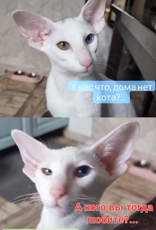 Screenshot_20220907-115543_Instagram