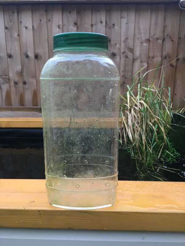 8DF95311-B9D9-465B-B9D2-F9E4C0B633AB