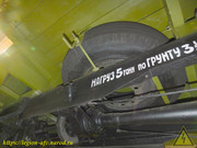 DSCN6423