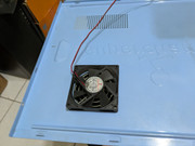 PXL 20260301 133412399