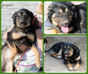 Be-Funky-collage-21.jpg&key=5cd928702ae3