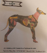 0023 - Eclipse - #193898