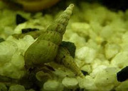 IMG_20170321_165154-1